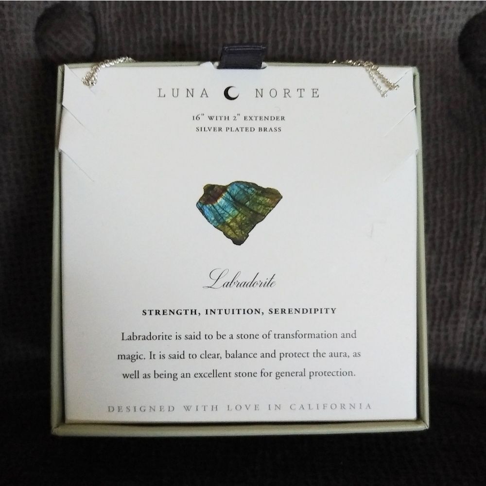 Luna🌙 Norte Double✌️ Silver🤍 Necklace - NIB - Picture 13 of 15